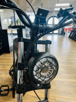 1000W Electric Bike