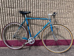 *CHROME LUGS* vintage Windsor single speed road bike
