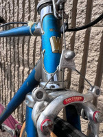 *CHROME LUGS* vintage Windsor single speed road bike