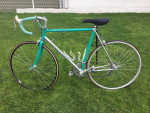 Bianchi  Alfana