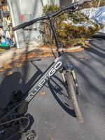 Elliptigo MSub stand up 10 speed bike