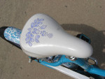 girls giant bike