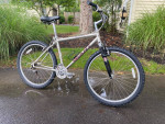 Giant Mountain Bike: New Tires, 21 Speeds, Suspension System