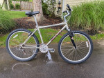 Giant Mountain Bike: New Tires, 21 Speeds, Suspension System