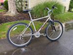 Giant Mountain Bike: New Tires, 21 Speeds, Suspension System
