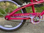Girls Youth Schwinn Bike- 20” Wheels