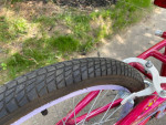 Girls Youth Schwinn Bike- 20” Wheels