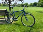 Specialized Hybrid/Mountain Bike- New Tires, 21 Speeds