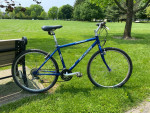 Specialized Hybrid/Mountain Bike- New Tires, 21 Speeds