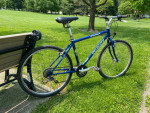 Specialized Hybrid/Mountain Bike- New Tires, 21 Speeds