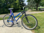 Schwinn Hybrid Bike: Aluminum Step Through Frame, Shimano Shifting