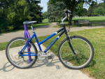 Schwinn Hybrid Bike: Aluminum Step Through Frame, Shimano Shifting
