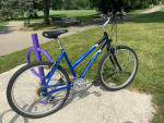 Schwinn Hybrid Bike: Aluminum Step Through Frame, Shimano Shifting