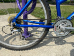 Schwinn Hybrid Bike: Aluminum Step Through Frame, Shimano Shifting