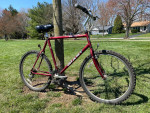 Giant Hybird/Mountain Bike: New Handlebar Grips & Grip Shifters