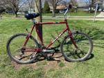 Giant Hybird/Mountain Bike: New Handlebar Grips & Grip Shifters