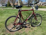 Giant Hybird/Mountain Bike: New Handlebar Grips & Grip Shifters