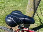 Giant Hybird/Mountain Bike: New Handlebar Grips & Grip Shifters
