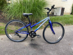 Trek Hybrid Bike- New Tires, 21 Speeds, Good Quality Bike!