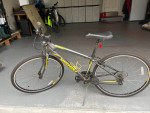26' Nishiki