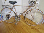 UNIVEGA Nuovo Sport; 5'4" to 5'7"; new; rack; gold color