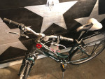20” Giant Cyprus DX