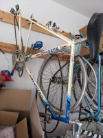 Benotto Modelo 2500 61cm Mechanics Special