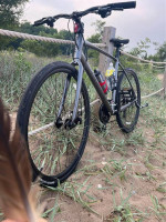 Giant Escape 3 Disc Hybrid Bike (Large)