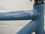RALEIGH ALYSA FT 1; 5'2" to 5'5"; blue; like new; mint!