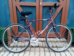 21" GT Arette