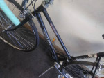 Ladies Free Spirit 10 speed Road Bike