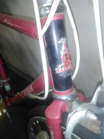 54cm Raleigh Technium aluminum 12 speed