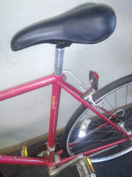 54cm Raleigh Technium aluminum 12 speed