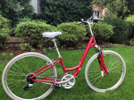 Specialized 28” Wheels Road Mountain Bike Hybrid