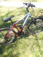 24" Roadmaster Mtn. Bike for 4'8" to 5'4" - Very nice