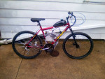 Motorized bike