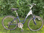 Trek Stepthrough Mountain Hybrid Bicycle for sale (16)