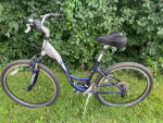 Trek Stepthrough Mountain Hybrid Bicycle for sale (16)