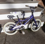 Novara (by Giant) Firefly Bike, excellent cond'n.