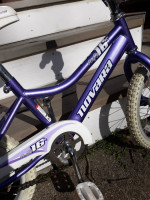Novara (by Giant) Firefly Bike, excellent cond'n.