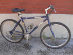 Trek 21 speed mountain bike small adult frame