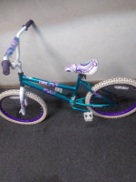 Girl's 20" BMX in good shape