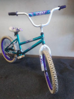 Girl's 20" BMX in good shape