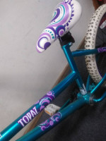 Girl's 20" BMX in good shape