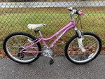 Girls 24 inch  MT 220 inch TREK