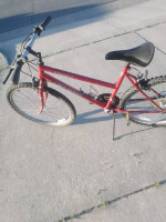 Lady's Free Spirit 26" mtn bike - All original - Ready to ride