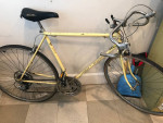 1977 Schwinn Sportabout