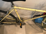 1977 Schwinn Sportabout