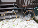 Raleigh cruiser bike