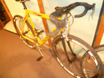 road bike Principia Rex Pro Campy grp.